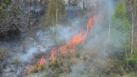 Las llamas se iniciaron en la proximidad de la carretera que une Cabanas y As Pontes