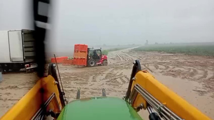 Sevilla se encuentra bajo alerta amarilla por lluvias y tormentas, con especial incidencia en la Sierra Norte y la campiña