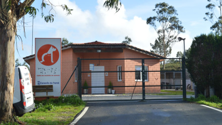 Foto de archivo del Refugio de animlales de Mougá, en Ferrol