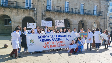 Manifestación de los veterinarios en la Praza Maior de Lugo