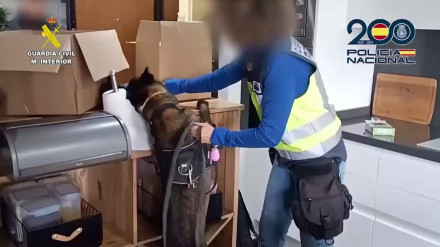 Guardia Civil detiene a 19 personas por estafas con IA