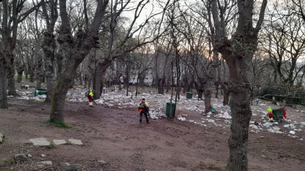 Limpeza na Carballeira