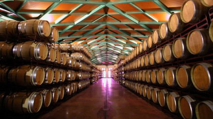 Imagen de una bodega de Grandes Vinos y Viñedos de Cariñena.