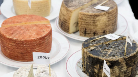 Los quesos de Fuerteventura, en la cima de España