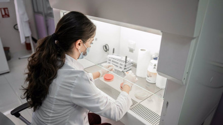 El Hospital Virgen del Rocío ya puede hacer análisis inmediatos de posibles casos de Virus del Nilo