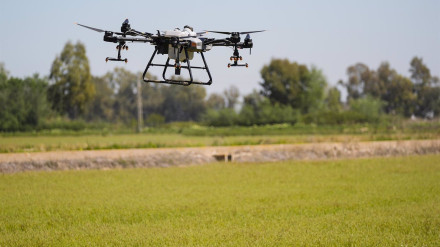 Maniobras de fumigación durante la Activación del protocolo de prevención y control del Virus del Nilo