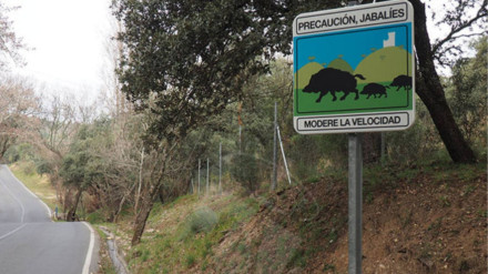 Señalización sobre la presencia de jabalíes en una vía de Torrelodones