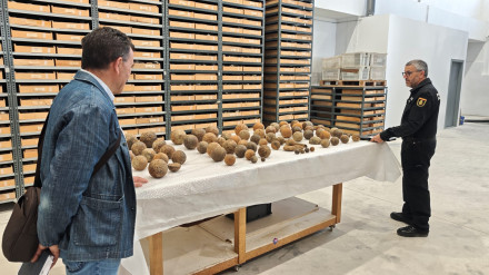 La Policía Nacional entrega decenas de proyectiles de artillería a la Dirección General de Cultura-Institución Príncipe de Viana del Gobierno de Navarra