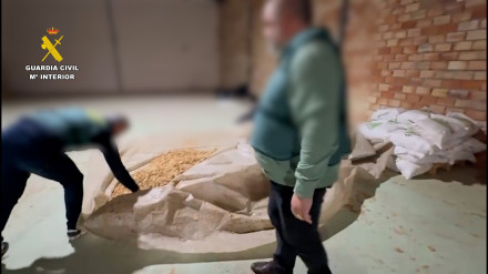 Guardia Civil inspeccionando el material intervenido