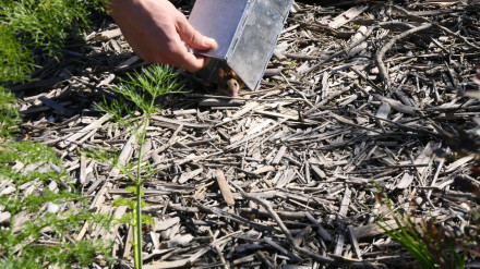 25.000 € repartidos entre los 8 proyectos seleccionados