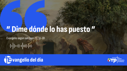 Evangelio del día 22-04