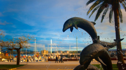 "GOLFERROLIÑOS" de Sara Pulzoni Fresco consiguió el 2º premio