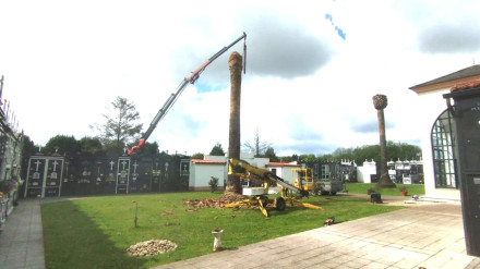 Los trabajos se están acometiendo este mates