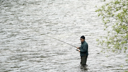 Pescador en busca del campanu