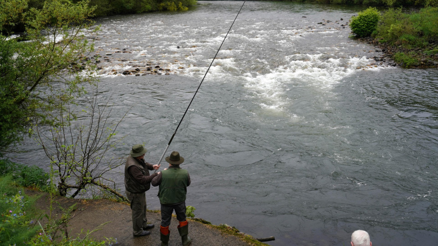 Dos pescadores buscan el 'campanu' en Cornellana