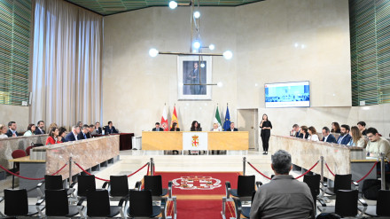 Pleno Extraordinario