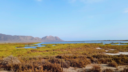 Las Salinas de Cabo de Gata