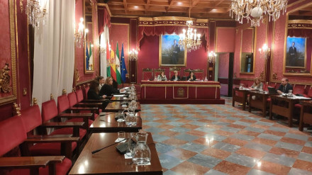 Comisión de Protección Ciudadana y Movilidad del Ayuntamiento de Granada