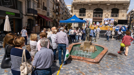 Fiesta de los Cascos Históricos del año pasado