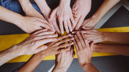 El sector bancario te cuenta cuál es el papel de los bancos en España