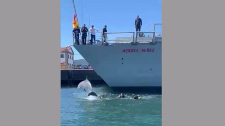 'Manoliño' también se quiso despedir de la fragata "Méndez Núñez"