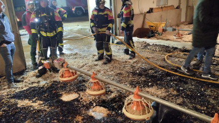 Los bomberos de la Diputación en la nave incendiada