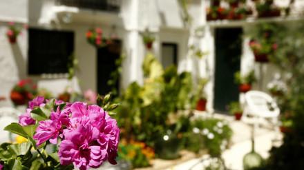 Uno de los patios de Cabra