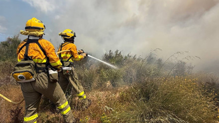 Bomberos trabajando en el Paraje de La Hita