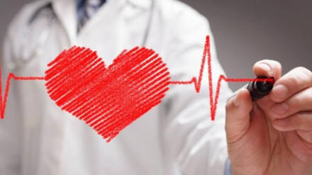 Salud cardiovascular