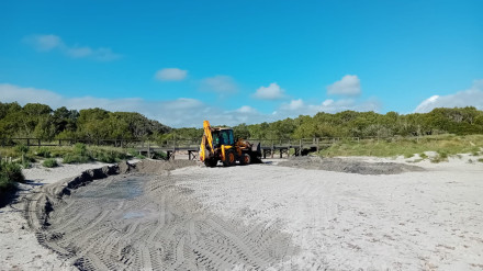Obres Albufera des Grau