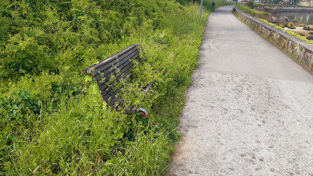 Los bancos apenas se ven por la maleza