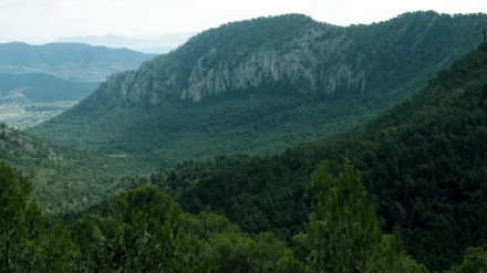 El monte 'Coto Sierra'