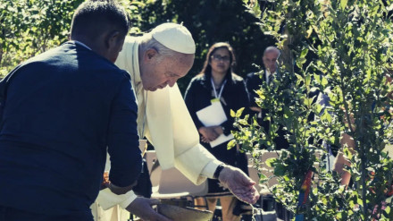 El papa se mostró preocupado por el medio ambiente