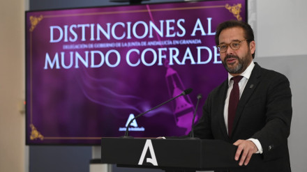 Antonio Granados, Delegado del Gobierno
