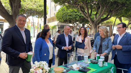 Cuestación Diputación