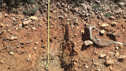 Perfil de terreno en El Maíllo (Salamanca)