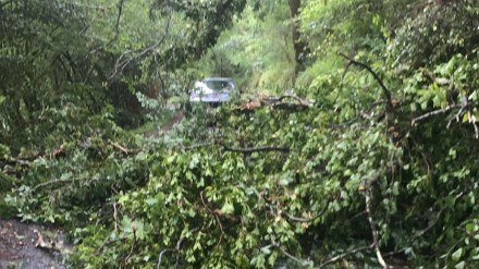 La carretera permaneció durante varias horas cortada