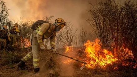 imagen de archivo de un bombero trabajando en un incendio en un monte