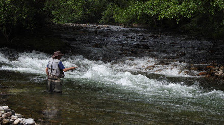 Pesacador en el concurso de pesca del río Narcea