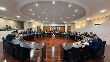 Pleno ordinario de la DPH del mes de mayo