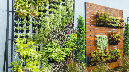 Foto de archivo de un jardín vertical, que puede optar a estas ayudas