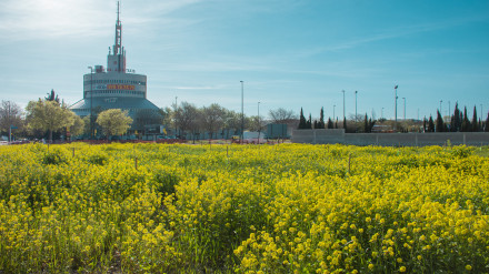 El Bosque de los Zaragozanos es el proyecto medioambiental estrella del Ayuntamiento
