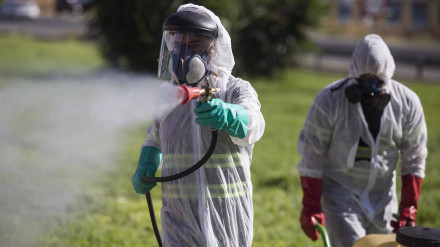 Dos trabajadores durante las labores de fumigación contra los mosquitos causantes del virus del Nilo en Coria del Río