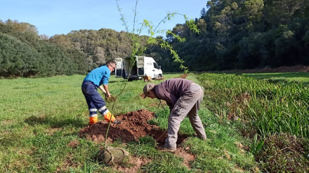 Inserción laboral Mestral