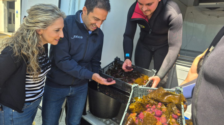 Villares, en el centro, con los erizos para sembrar