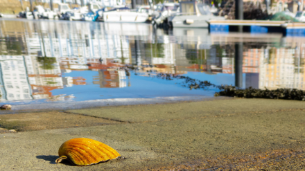 El foro se celebrará durante dos días en la sede de Afundación