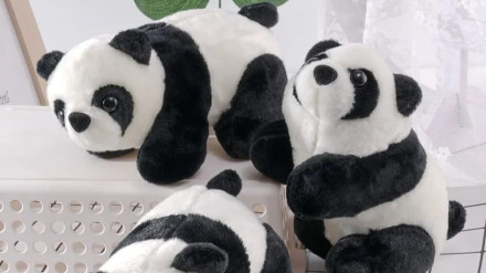 Peluches de osos panda
