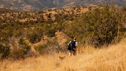 CN8F81 Hiking on the Arizona National Scenic Trail, Gardner Canyon, Coronado National Forest, Sonoran Desert, Sonoita, Arizona, USA.