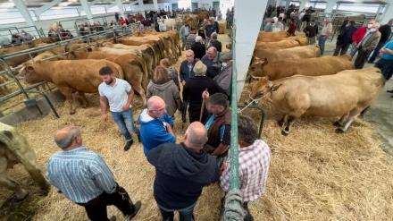 La feria de Moeche se volverá a realizar en el recinto de San Ramón