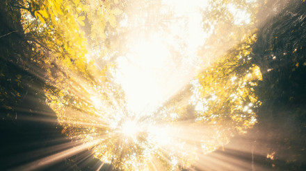 Rayo de sol